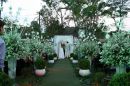 Lake House- festas e eventos