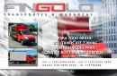 Fingolo transportes e mudan�a