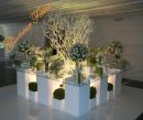  Decora��o de festas eventos Glamour