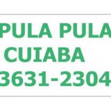 Pula Pula Festas Em Cuiaba