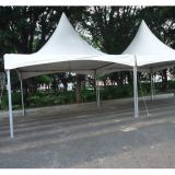 Twenty Eventos