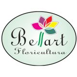 Bellart Eventos & Flores