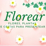 Florear- Floricultura online