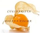 Rosana Palma - Gastronomia