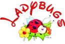 Ladybugs Festa