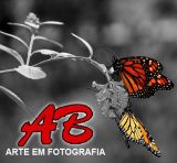 ab.arteemfotografia