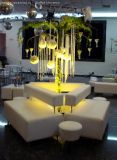 buffetuniverso