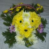 crysflores