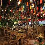 festajuninabrasilia