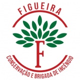 figueiraservicos