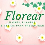 florearflores