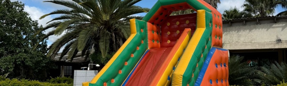 Brinquedos para aluguéis