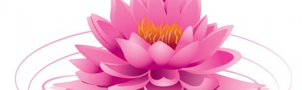 Lotus Eventos - Assessoria & Cerimonial