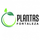 plantasfortaleza