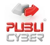 publicyber