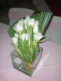 soilafestas_com