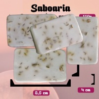 Formatos do nosso sabonete em barra