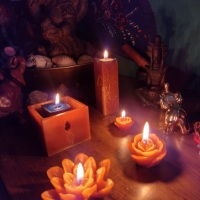 Modelos de velas flutuantes flor de ltus, rosa, e outras