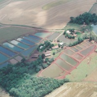 Piscicultura  acquadoce