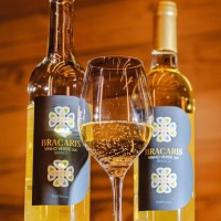 Branco Blend um vinho elaborado atravez das castas Loureiro, Arinto e Trajadura. Com aromas complexo