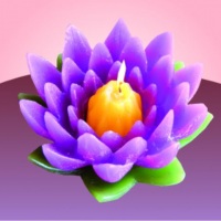 vela flor de lotus