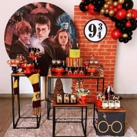 Festa Temática (Harry Potter)
Painel sublimado redondo e retangular do tema, tapete felpudo, Mesas 