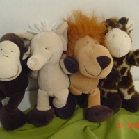bichos de selva 