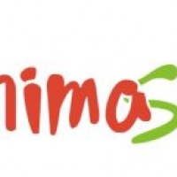 Animashopping + que festa! - ligue: (19)3306-2020