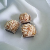 ouri�o de coco
