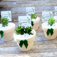VASINHO EM GESSO COM SUCULENTAS PARA FESTAS