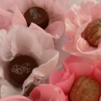 forminha cetim para doces e bombons