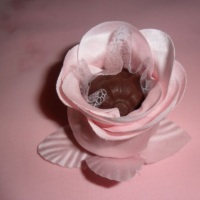 bot�o rosa cetim
