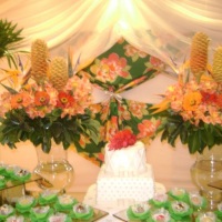 Festa havaiana