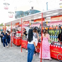 barraquinhas para festas