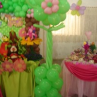 decora��o