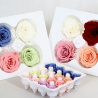 rosas preservadas
