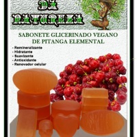 Sabonete Glicerinado Vegano Artesanal de Pitanga Elemental