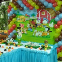 Disney Baby na Fazenda