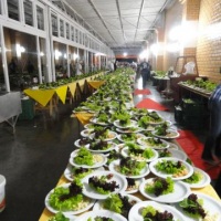 Servi�o empratado, a inglesa,buffet- gar�ons com expertise.