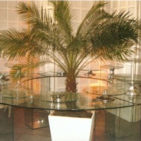mesa de vidro arco fechado