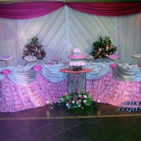 15 anos rosa pink