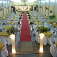 Dourado casamento