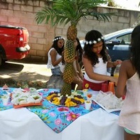 Festa Havaiana