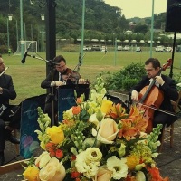 Violino + violoncelo + flauta para casamento em Bento Gonalves, RS.
