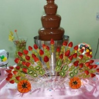 WWW.CASCATA.EEV.COM.BR