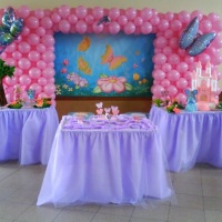 festa barbie baterflay