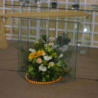 Decora��o Dourado