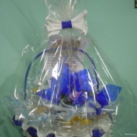 Cesta pais
