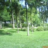 �rea verde...