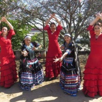 Dana Cigana e Flamenco - Festa das Cerejeiras em So Bernardo do Campo